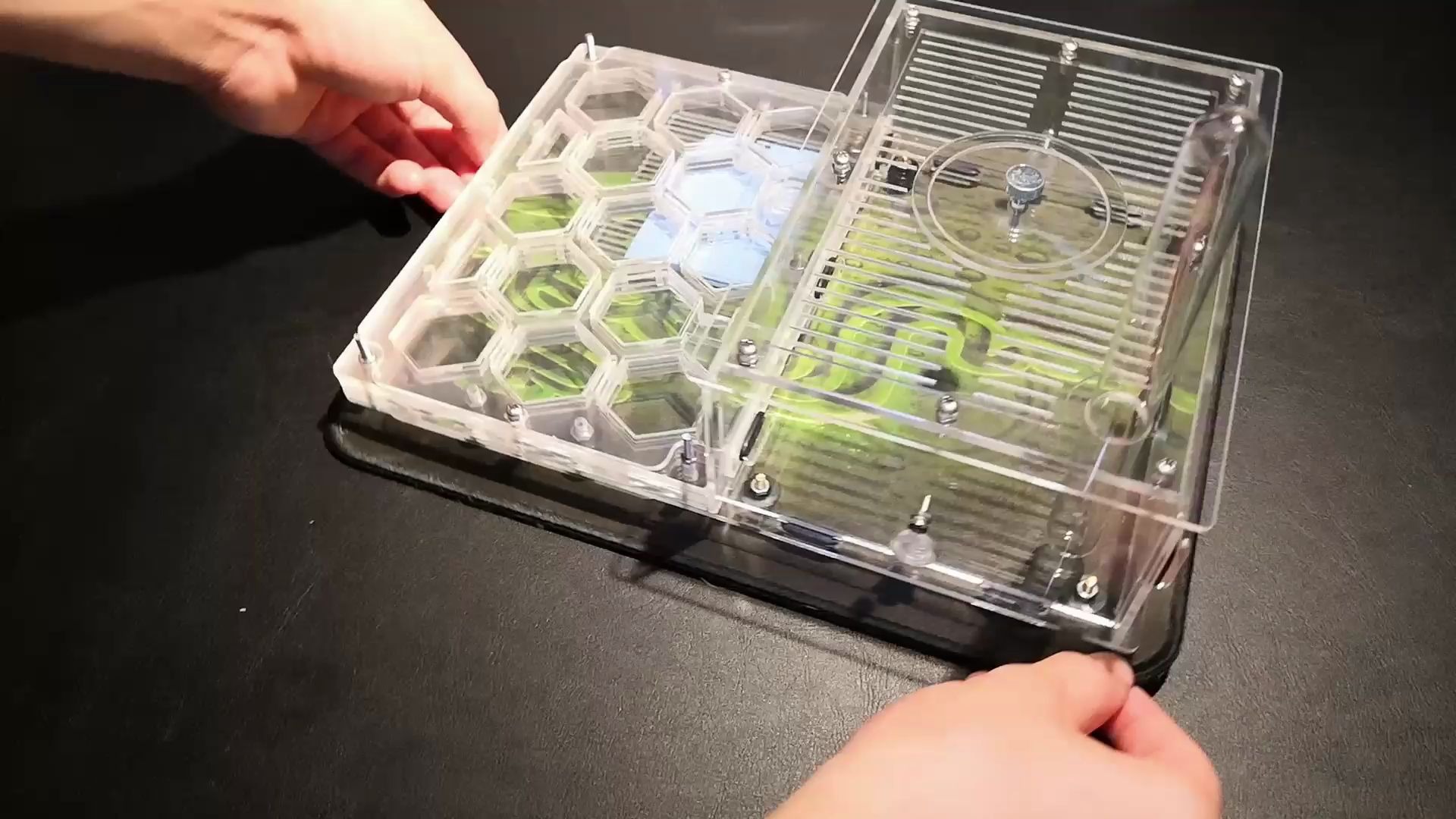 无常自制蚁巢分享以及双彩蛋