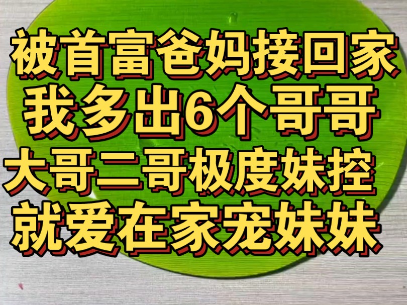 被首富爸妈接回家后,我一下多出6个哥哥,大哥二哥极度妹控哔哩哔哩bilibili