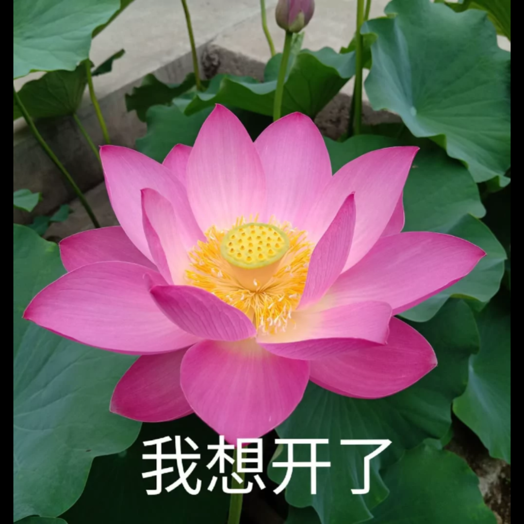 一起记录