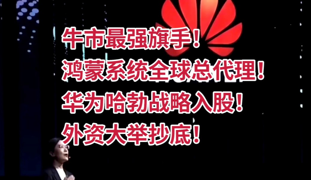 牛市最强旗手!鸿蒙系统全球总代理!华为哈勃战略入股!外资大举抄底!全体股民满仓!哔哩哔哩bilibili