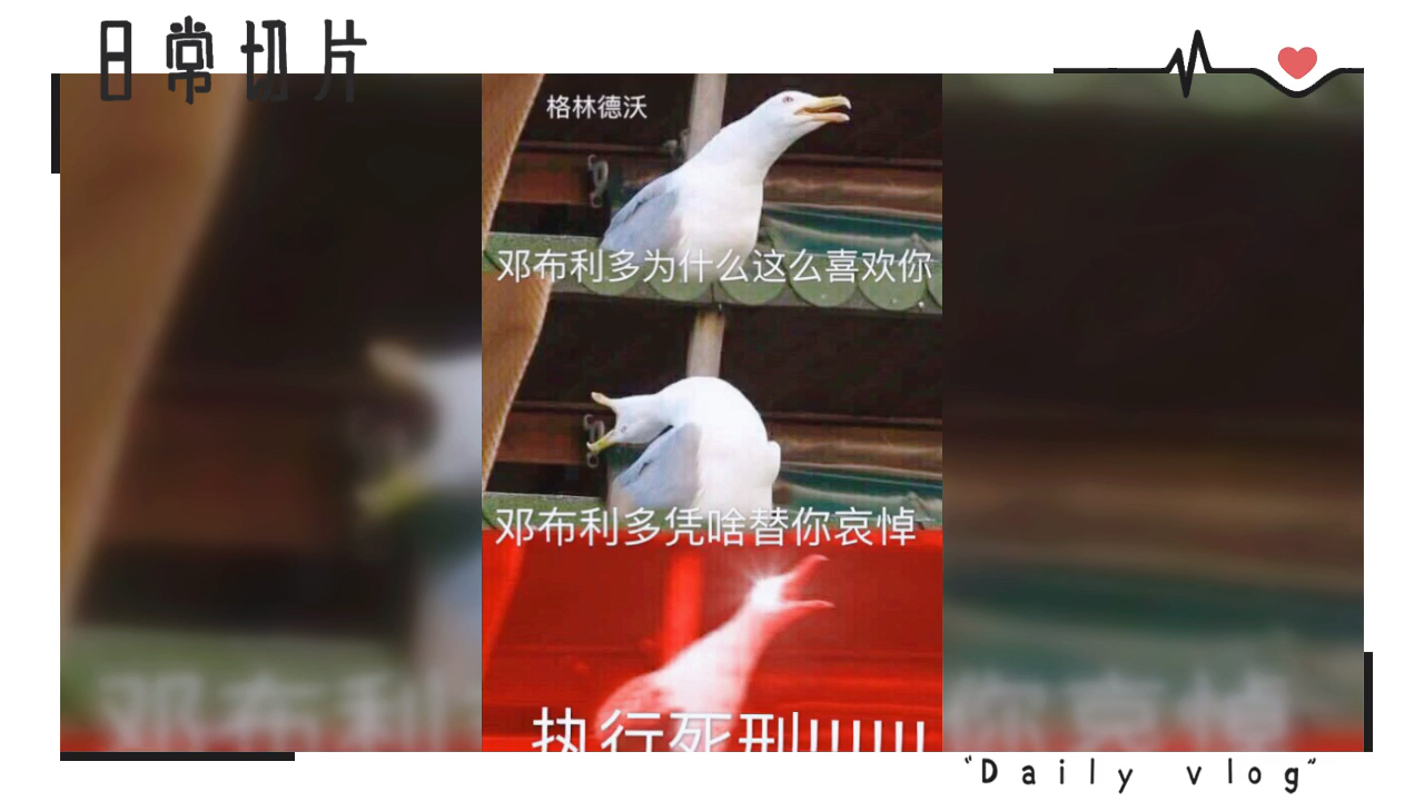 霍比特人的梗图片