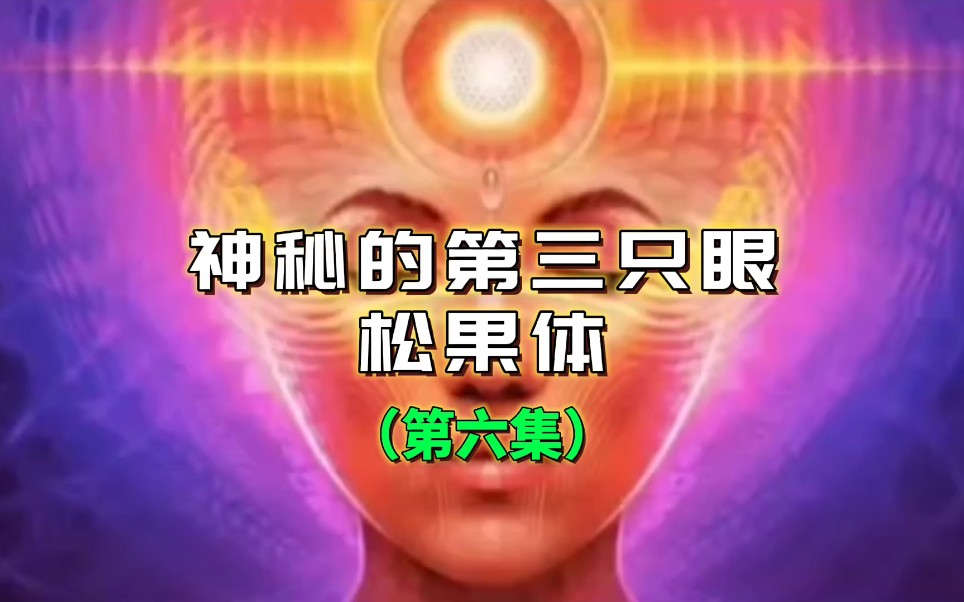 神秘的第三只眼～松果体_哔哩哔哩_bilibili