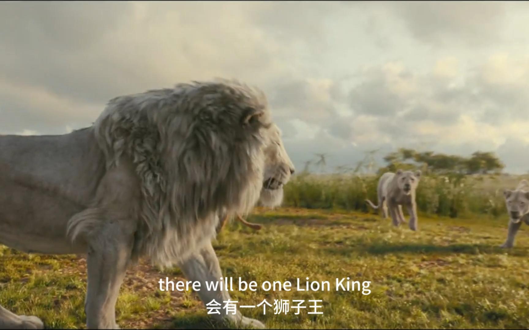 电影《狮子王:木法沙传奇》预告电影 讲述了狮子王辛巴不为人知的成长