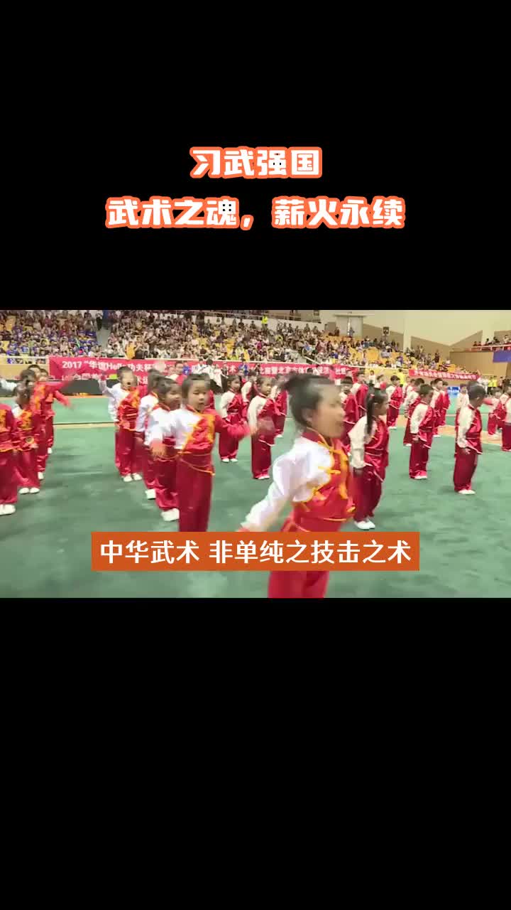 “习武强国,铸就民族魂——强健体魄,振兴中华!”哔哩哔哩bilibili