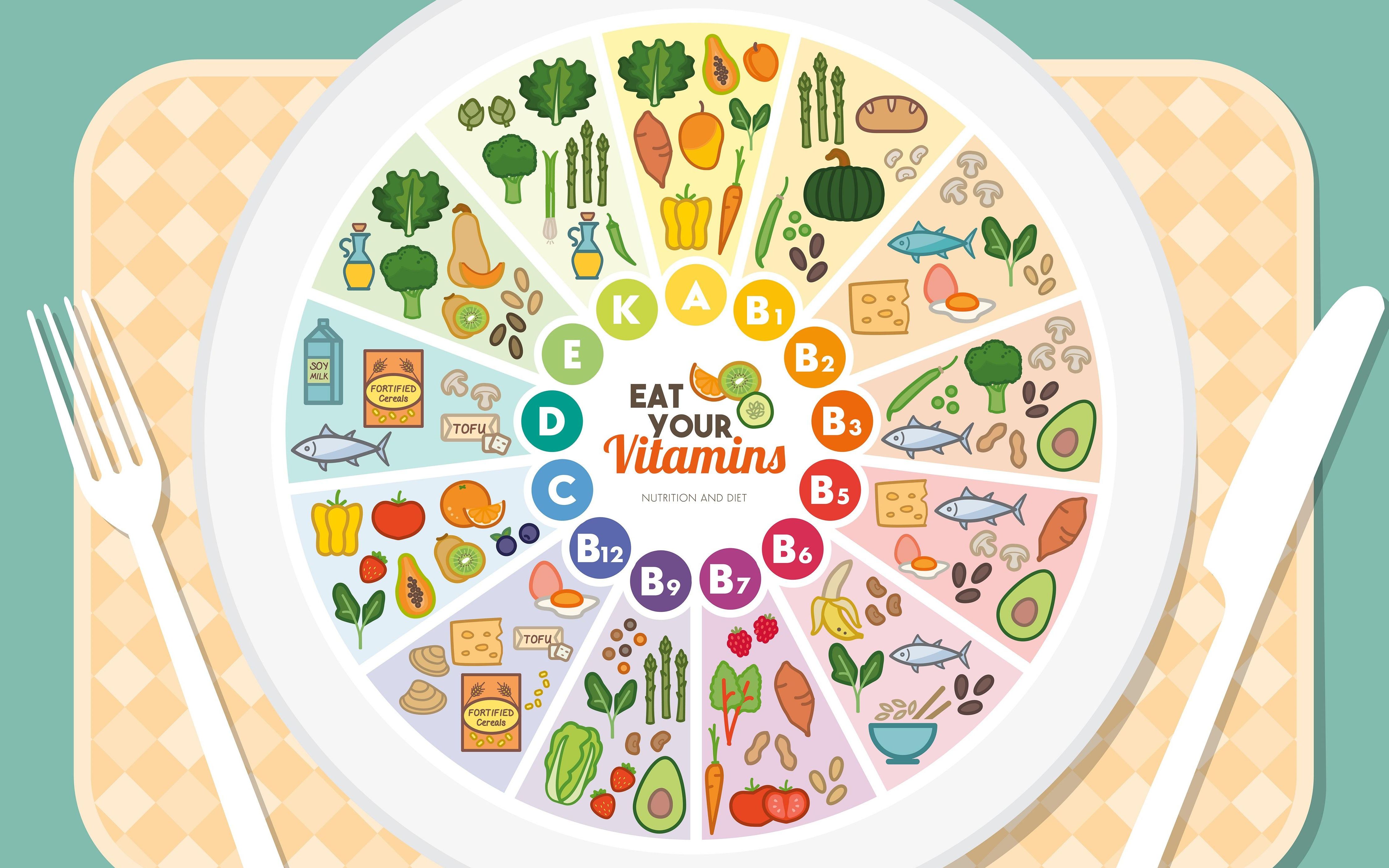 最快的减肥方法 瘦身,摄入足够蛋白质,少食多餐多运动_哔哩哔哩_bilib