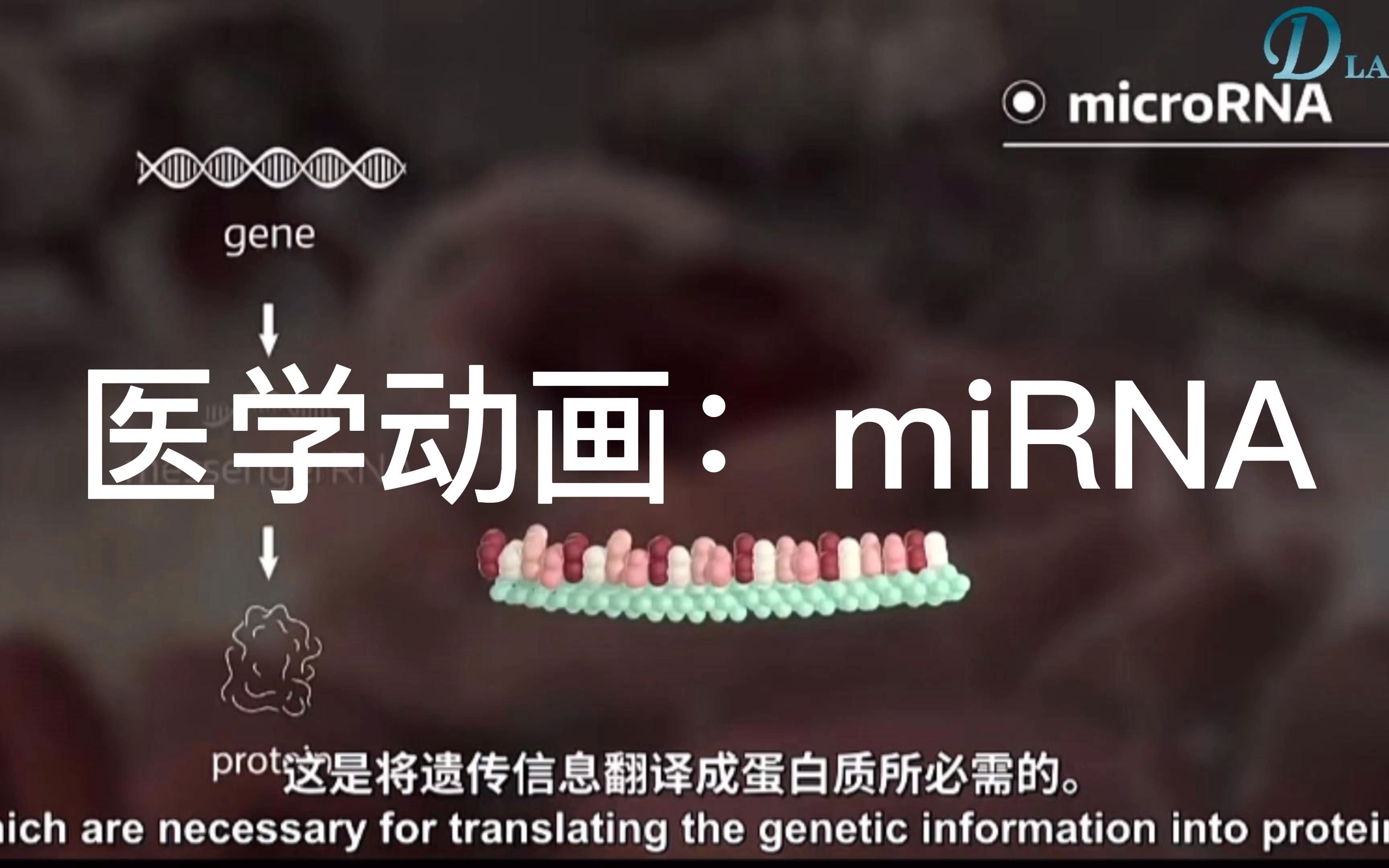 3D医学动画科普:miRNA哔哩哔哩bilibili