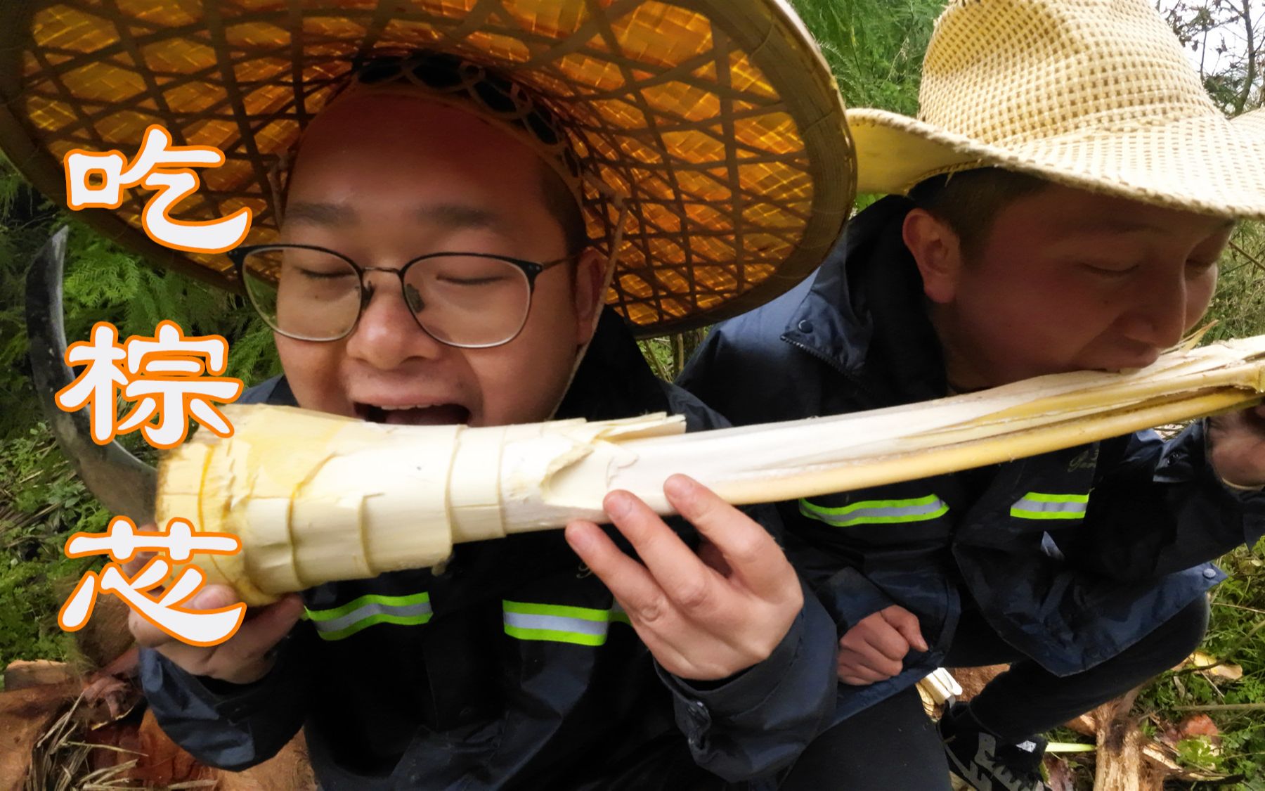 [图]进山吃棕芯，兄弟3人花5小时才取出来，结局亮了！