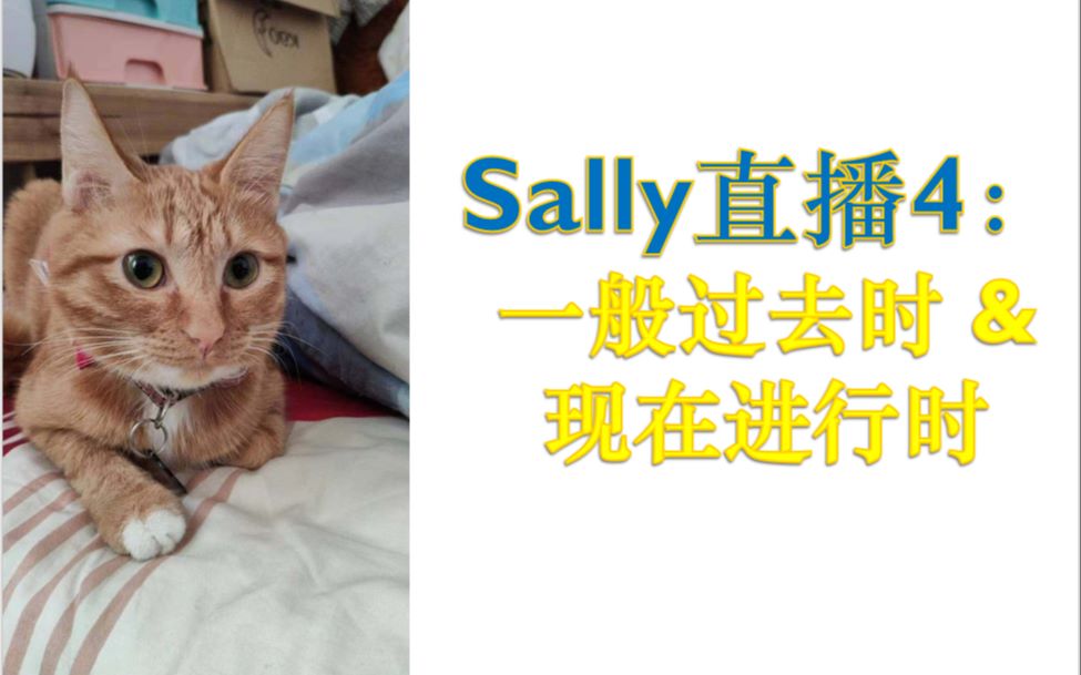 Sally英语直播2020.02.22哔哩哔哩bilibili