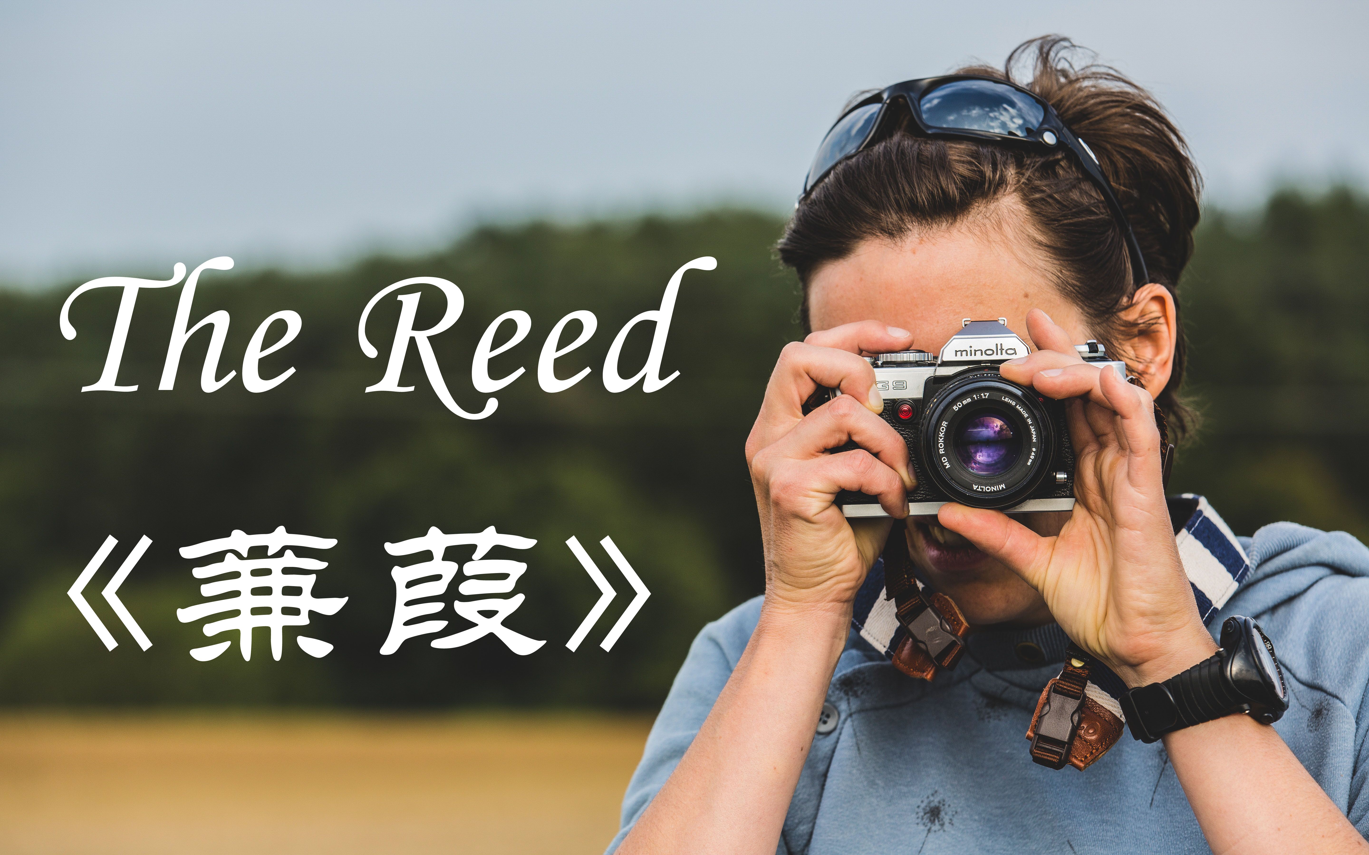 The Reed 《蒹葭》英文版——《诗经ⷥ›𝩣Žⷧ禩㎣€‹哔哩哔哩bilibili