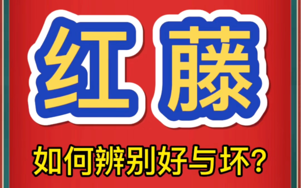 中药材批发市场红藤如何辨别哔哩哔哩bilibili