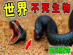 Download Video: 全世界最可怕的10种不死生物 ，头断了还能重生，第一名几乎每家都有_世界之最Top