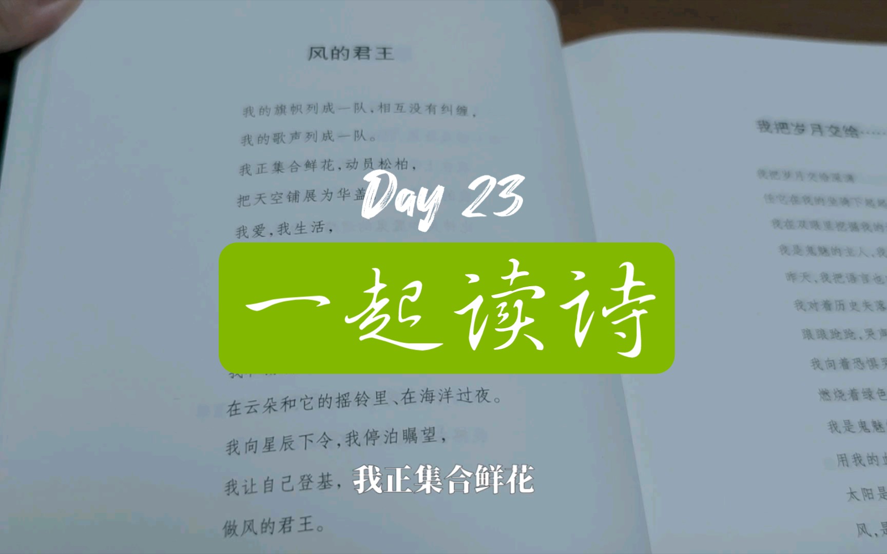 Day23读诗 阿多尼斯《风的君王》哔哩哔哩bilibili