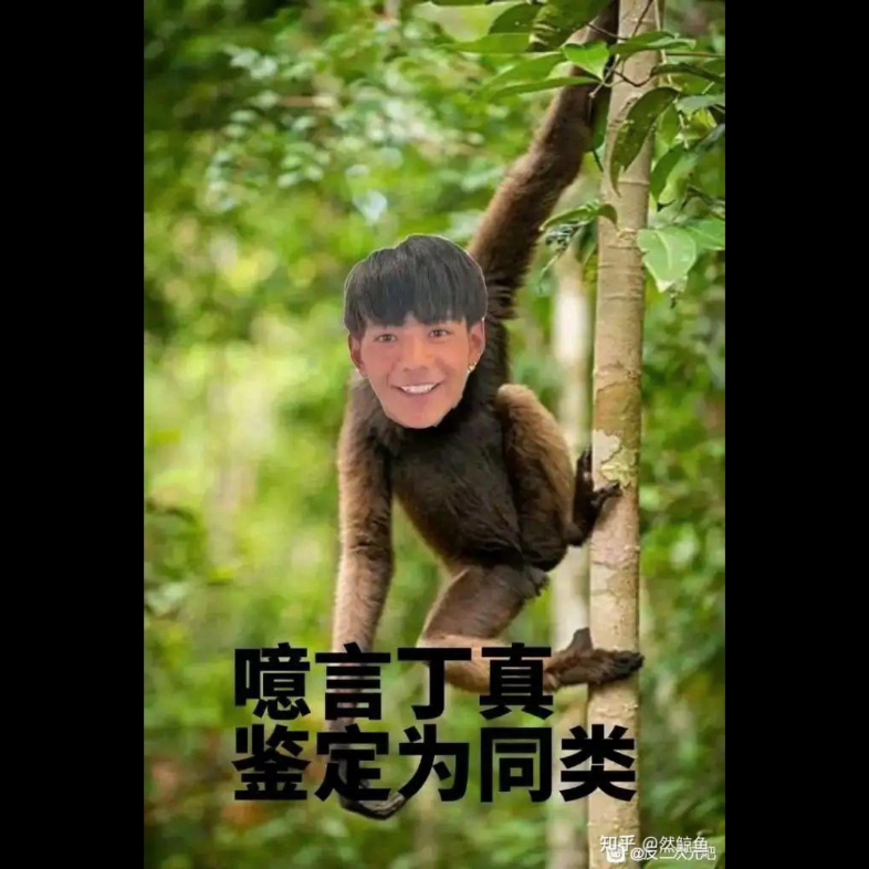 难绷丁真表情包