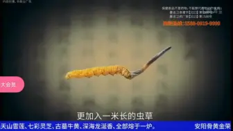 王尼玛《片场日记2》第九集“更加入一米长的虫草”🤨🤨