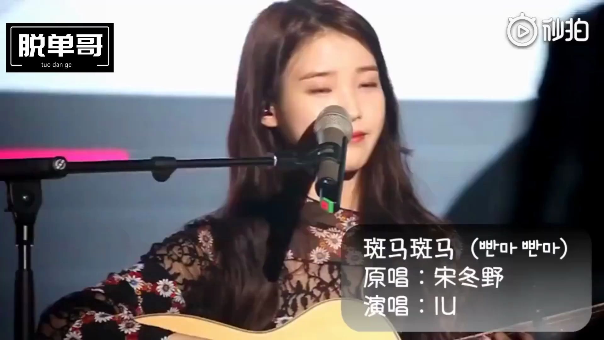 iU《斑马斑马》现场版哔哩哔哩bilibili