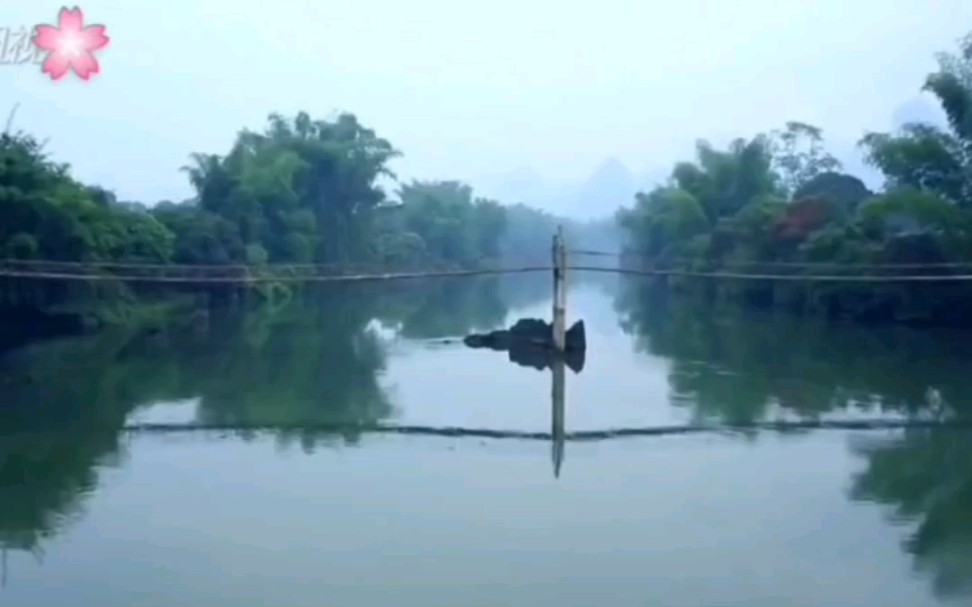 [图]今日天气好晴朗 处处好风光