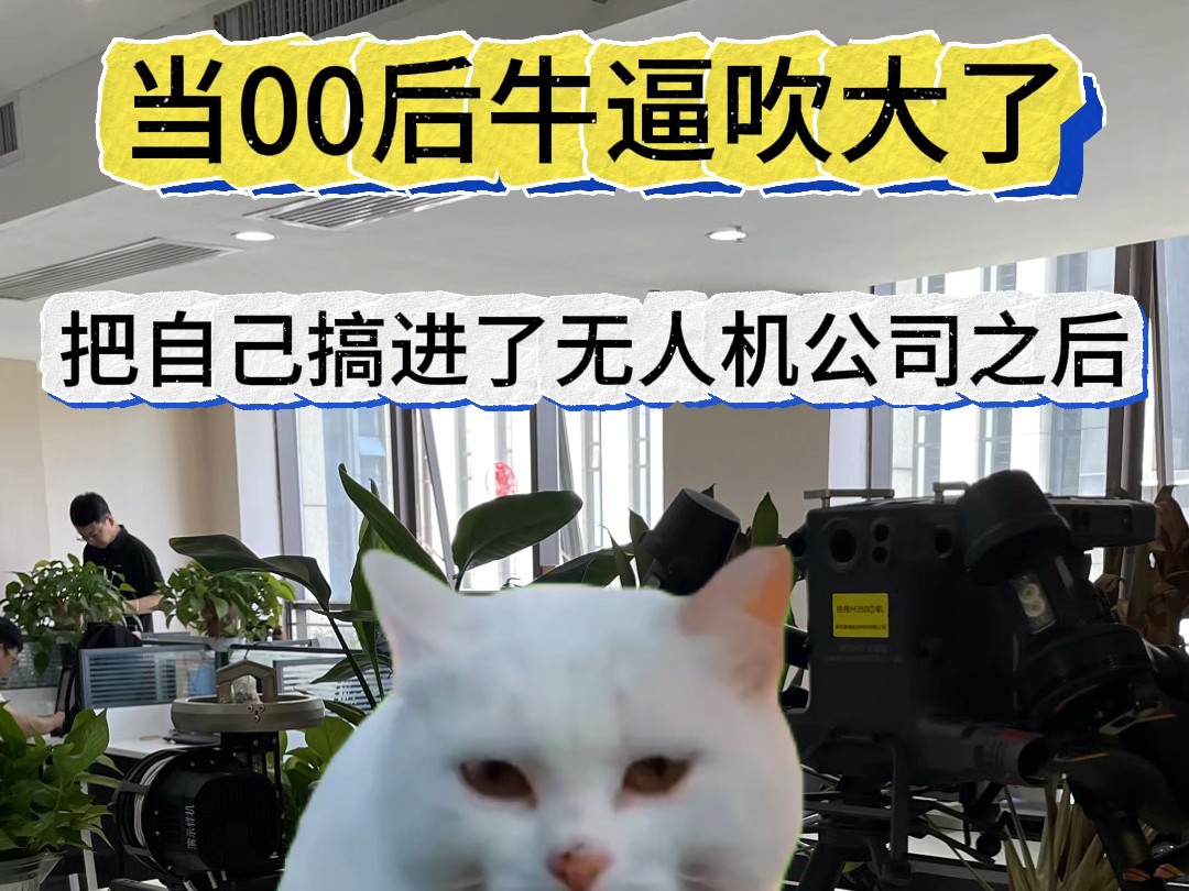 【00后运营吹牛逼被老板发现了】猫meme#猫meme #00后整顿职场 #不想上班 #00后运营官方账号 #大疆无人机 @DJI大疆创新哔哩哔哩bilibili