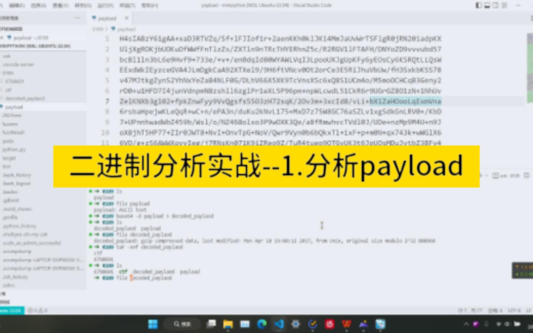 [二进制分析实战系列]1.分析payload文件哔哩哔哩bilibili