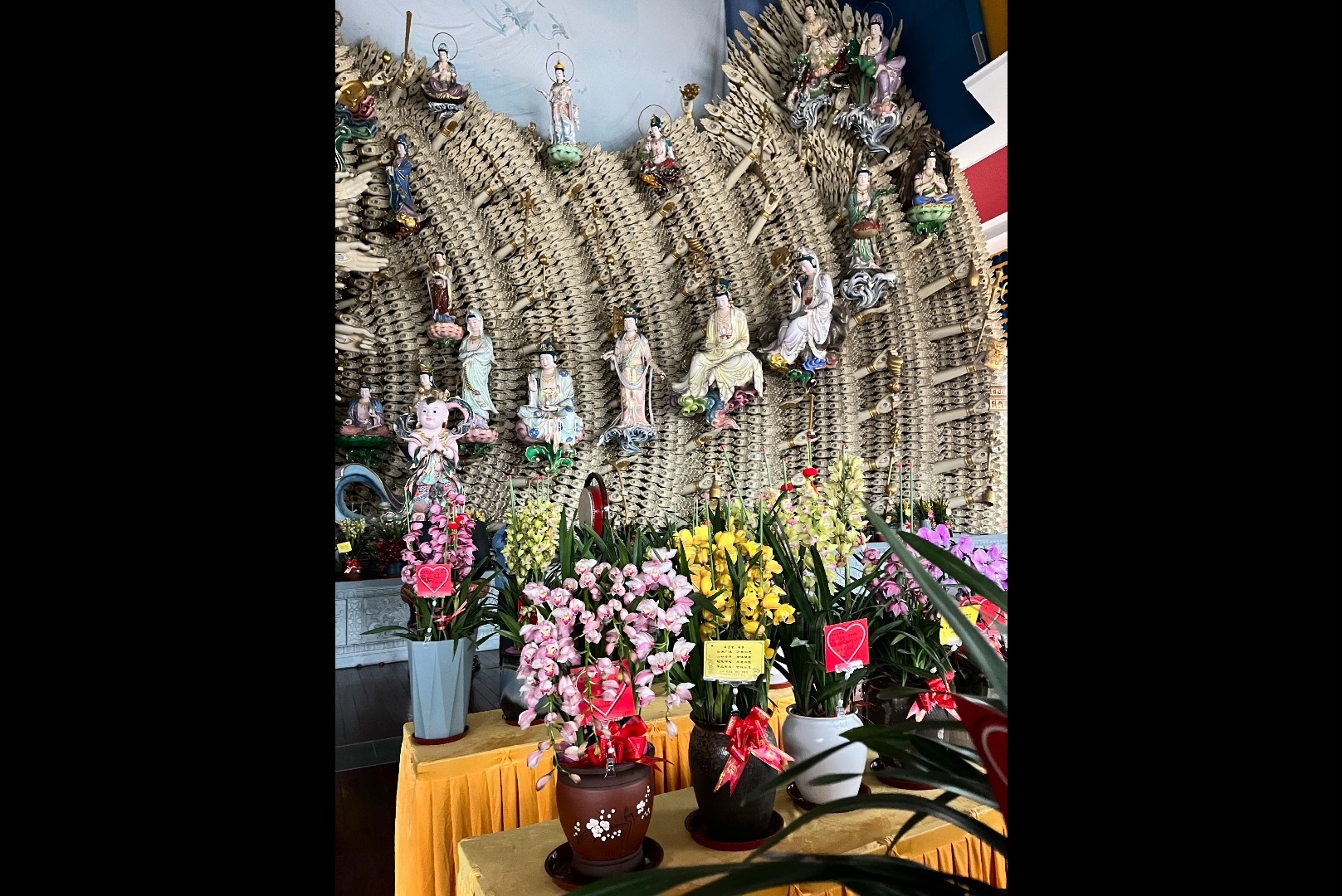 佛前供花,心诚则灵,愿各位所愿皆所得.