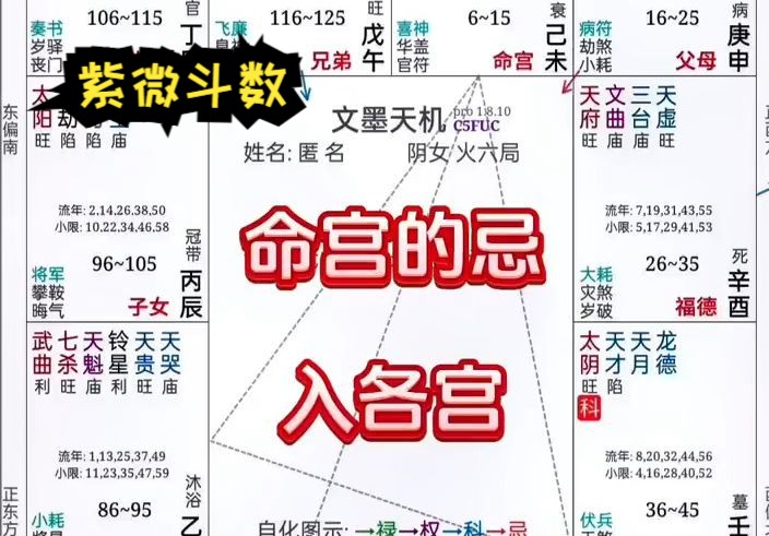 命宫化忌入各宫:紫微斗数实战学员命盘教学哔哩哔哩bilibili