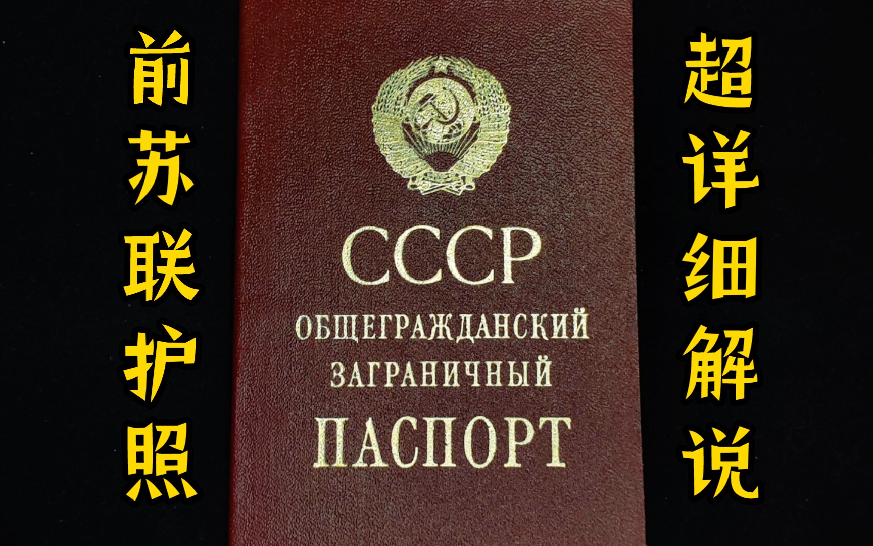 护照收藏:90年代前苏联护照,永居美国前有美国B2签证和加拿大V1签证哔哩哔哩bilibili