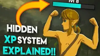 BotW 塞尔达~荒野之息 其实林克也有等级！- 详解隐藏的XP系统