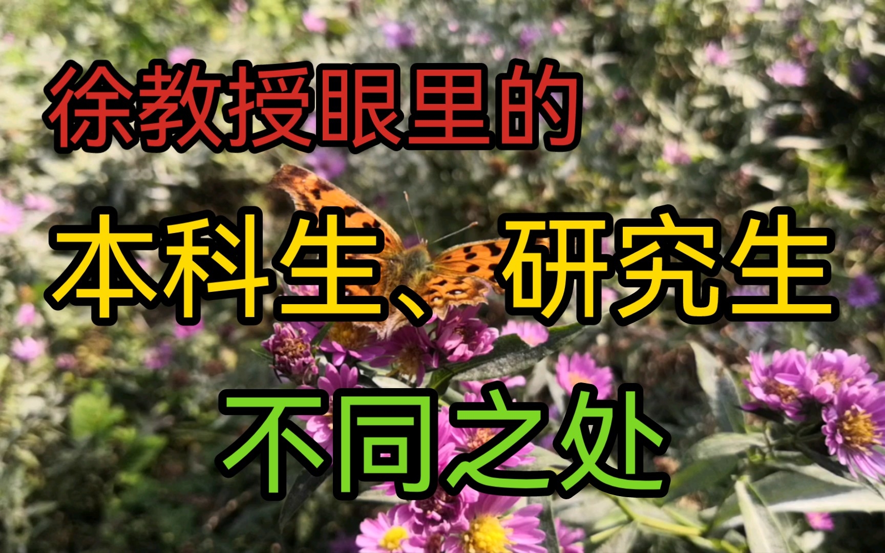 徐教授眼里的本科生教育与研究生教育的最大的不同,各位同学不管信不信,最后都得走这条路.哔哩哔哩bilibili