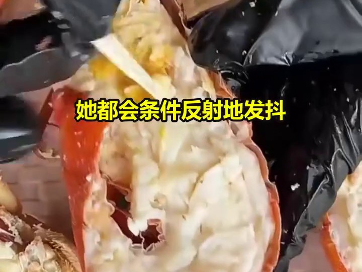 年少懂沧桑