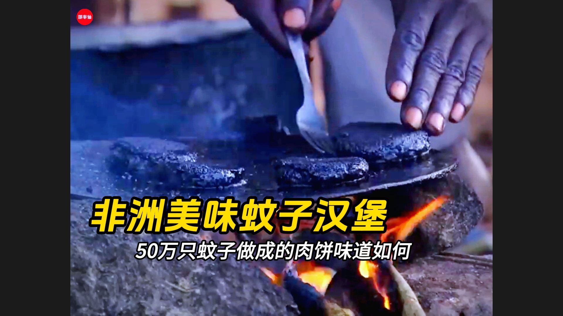 50万只蚊子做成的"汉堡",一口下去全是蛋白质,你敢吃吗?