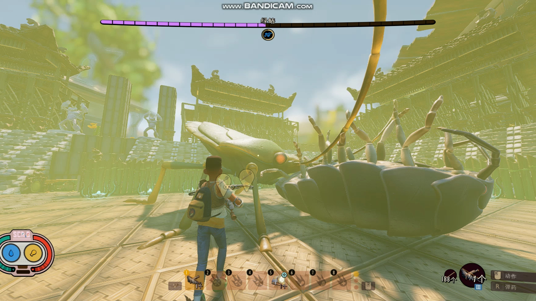 【禁闭求生】斗兽场系列第112期|绿蝽对战西瓜虫