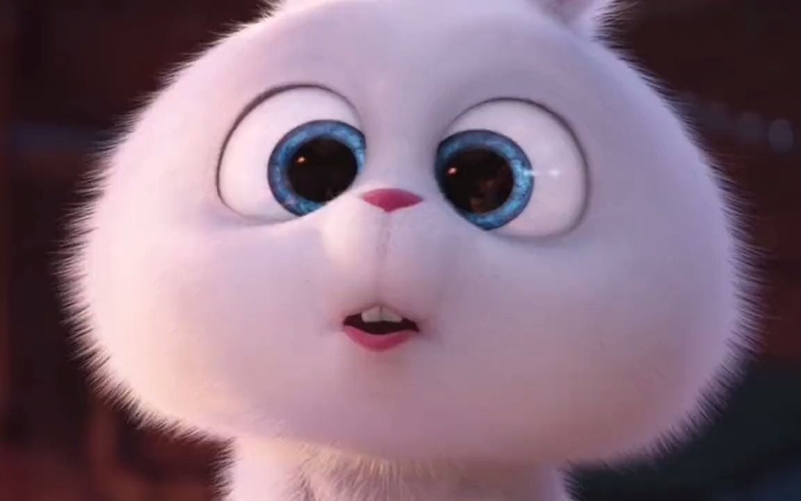 【爱宠大机密】老夫的少女心.