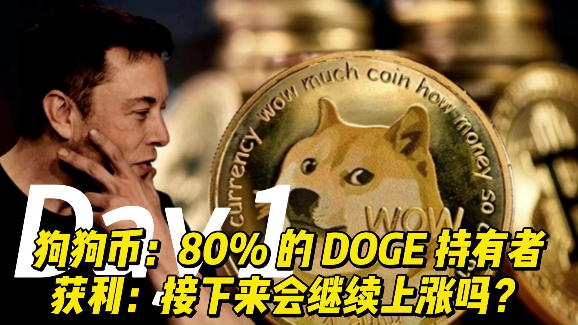 狗狗币:80% 的 DOGE 持有者获利:接下来会继续上涨吗?哔哩哔哩bilibili