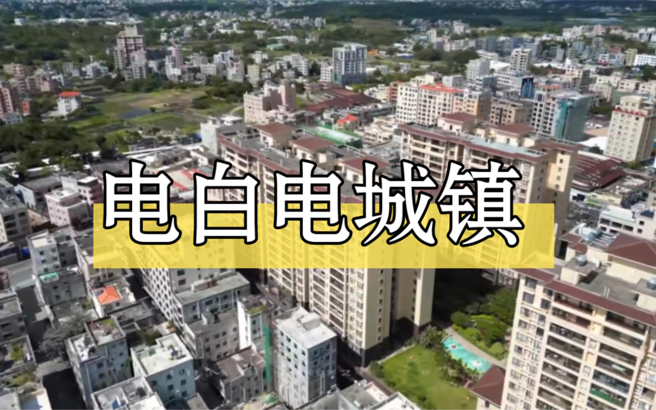 广东茂名电白电城镇一茂名中心镇之一