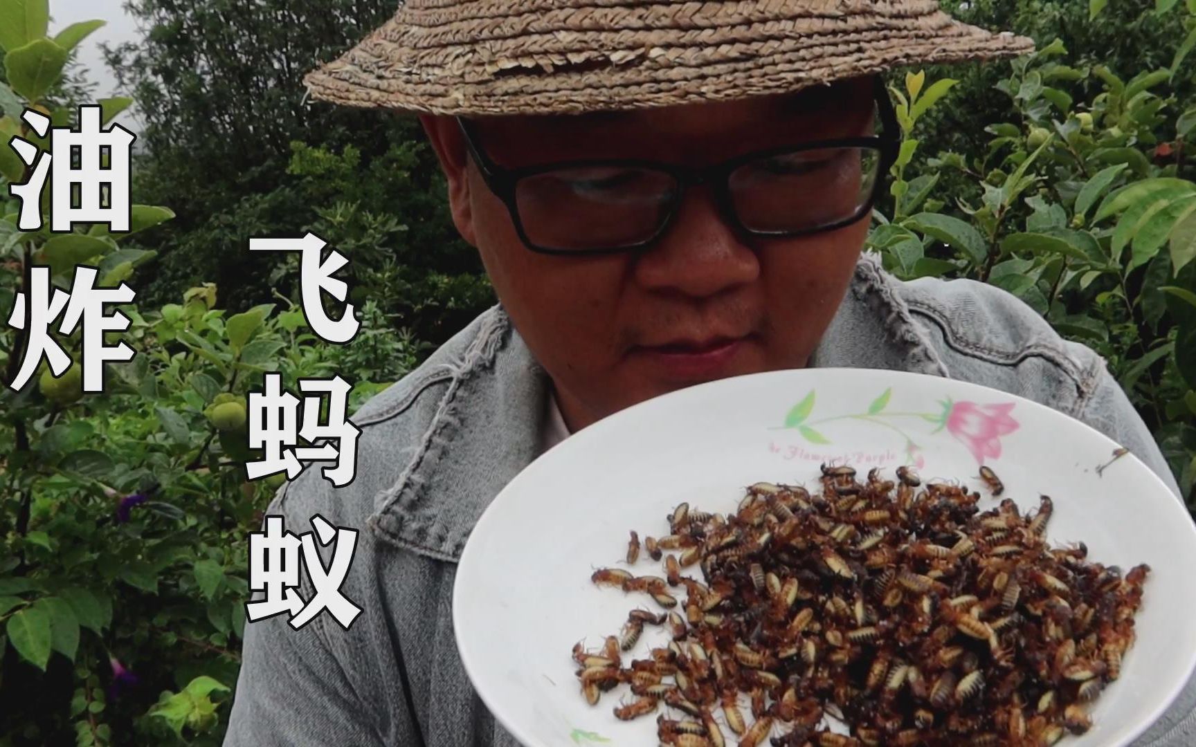 发现新的美味飞蚂蚁,不知道一千只够不够一盘