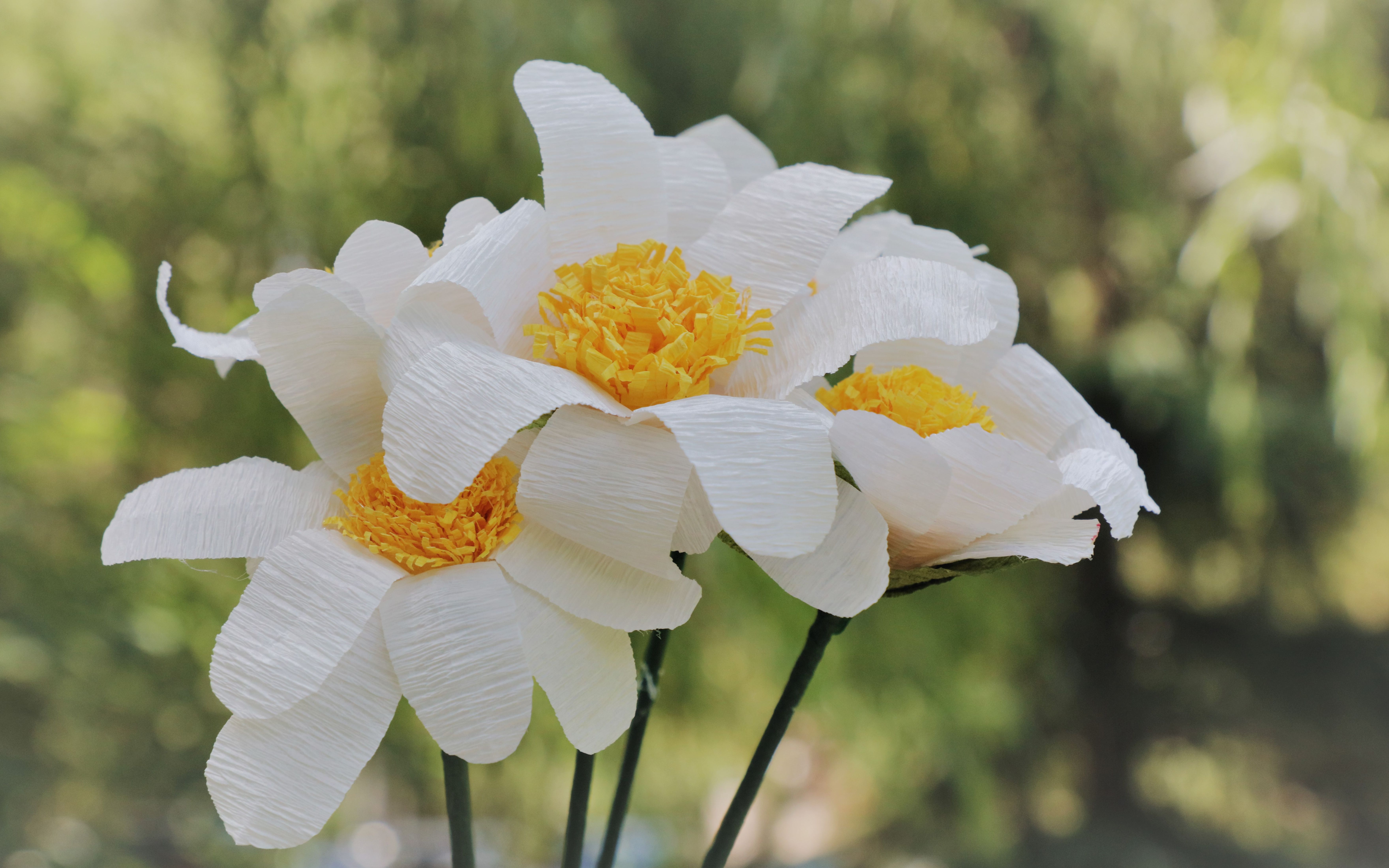 手把手教你做一束皱纹纸小雏菊_哔哩哔哩 (゜-゜)つロ 干杯~-bilibili