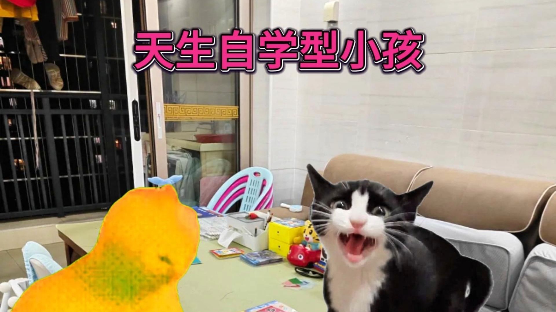 你的小孩总是学的慢?孩子可能不是笨,而是自学型天才-猫meme小山楂-猫meme小山楂-哔哩哔哩视频
