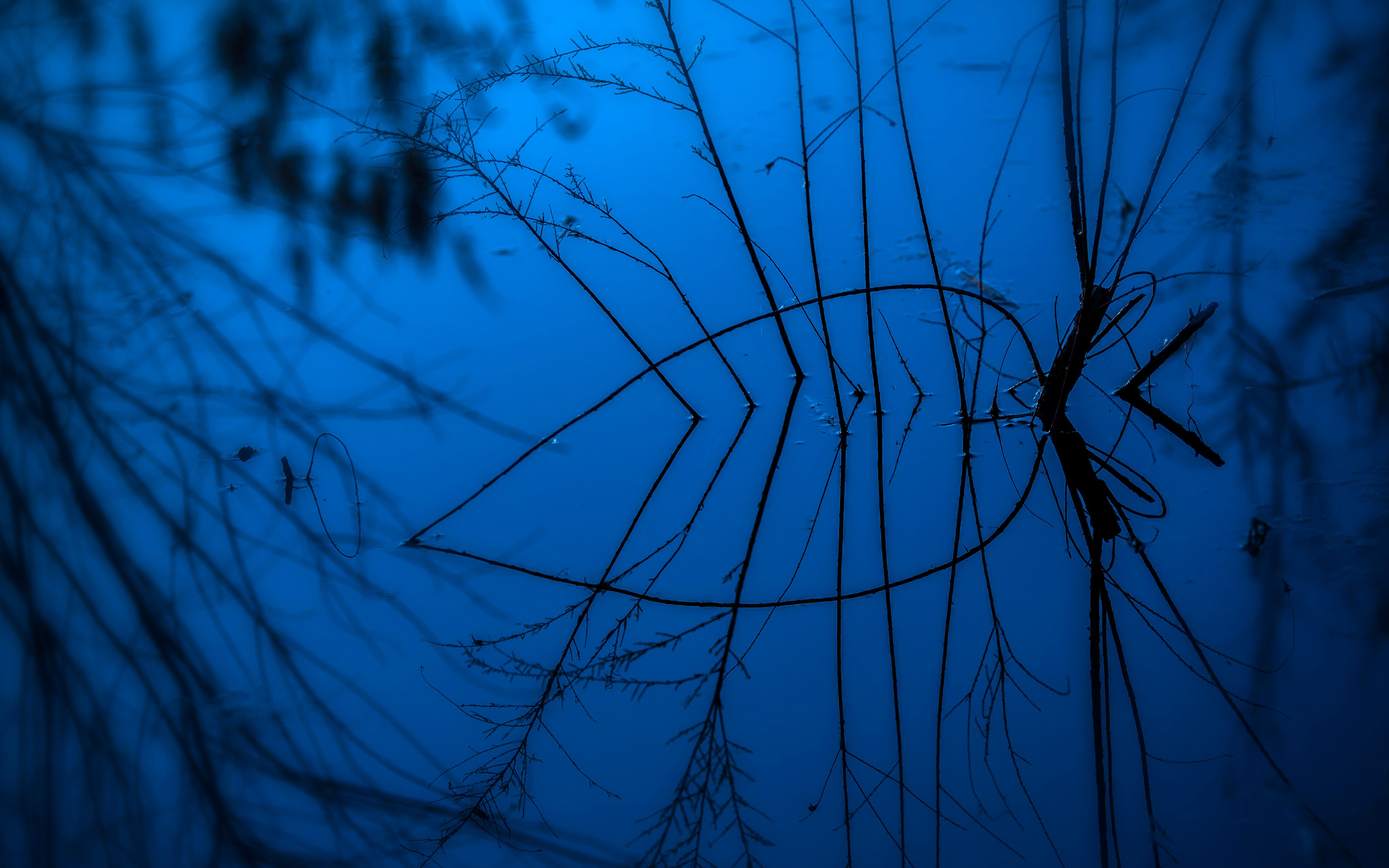 摄影后期影调之全长调调整,同样的水面枝条,只保留高光和阴影