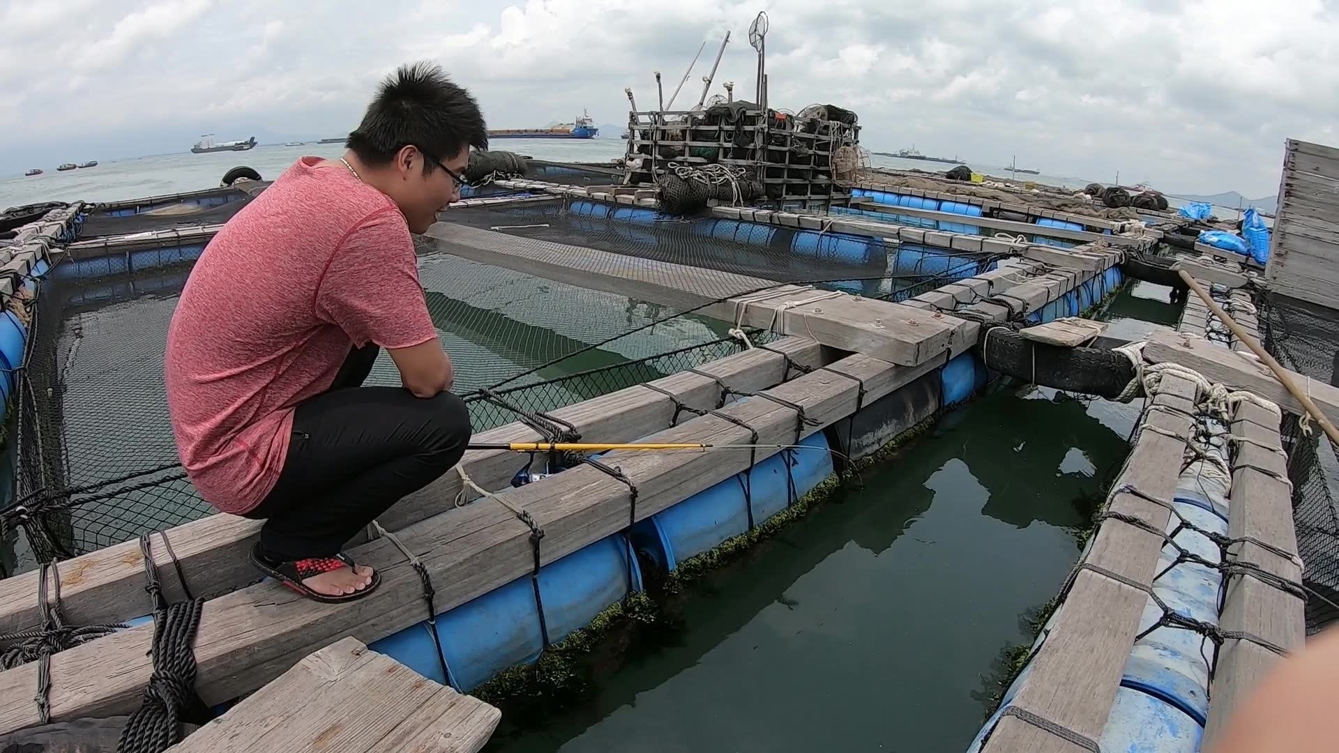 鱼排钓鱼_哔哩哔哩 (゜-゜)つロ 干杯~-bilibili