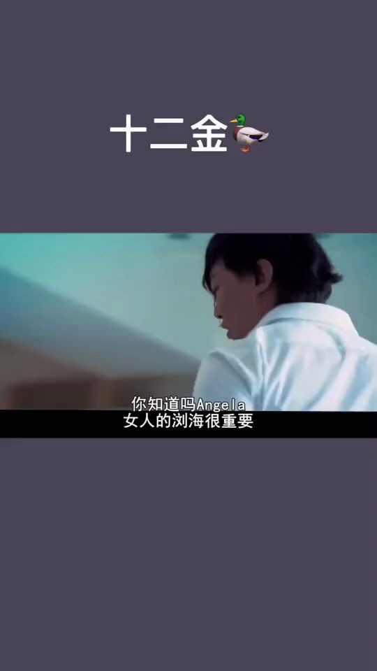 十二金鸭哔哩哔哩bilibili