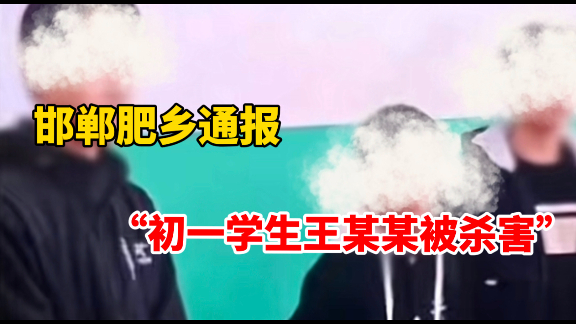 肥乡通报“初一学生王某某被杀害”:涉案犯罪嫌疑人已被全部抓获哔哩哔哩bilibili