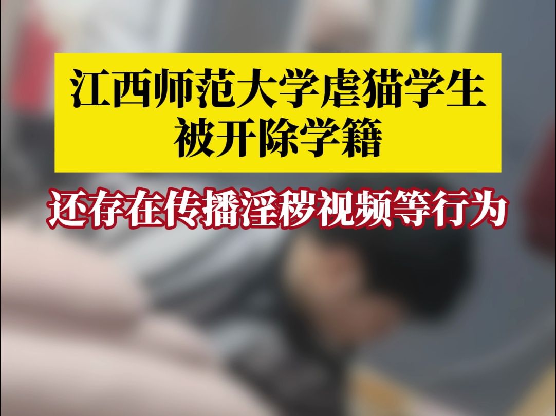 江西师范大学虐猫学生被开除学籍,经查该生还存在传播淫秽视频、旷课12节等违反校规校纪行为哔哩哔哩bilibili