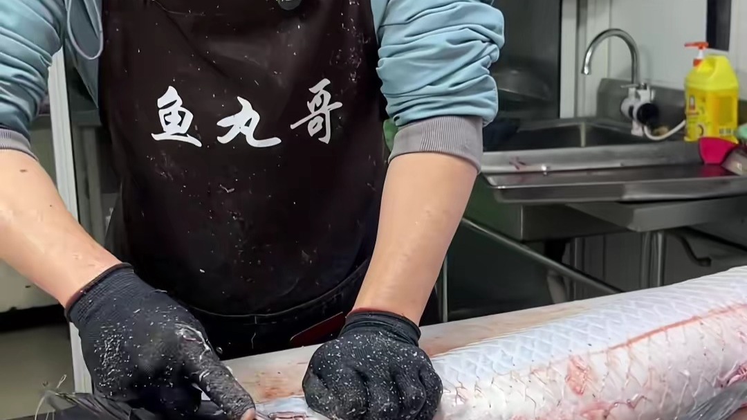 大妈背鱼挑战鱼丸哥