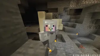 我的世界生存实况 在废弃矿洞挖到骨块 我这是挖到化石了吗 哔哩哔哩 Bilibili