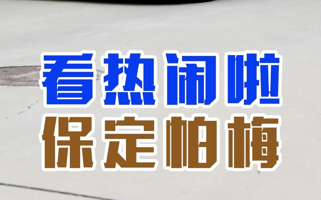 欧拉闪电猫 网上的争议不小,大家觉得问题出在哪了?哔哩哔哩bilibili