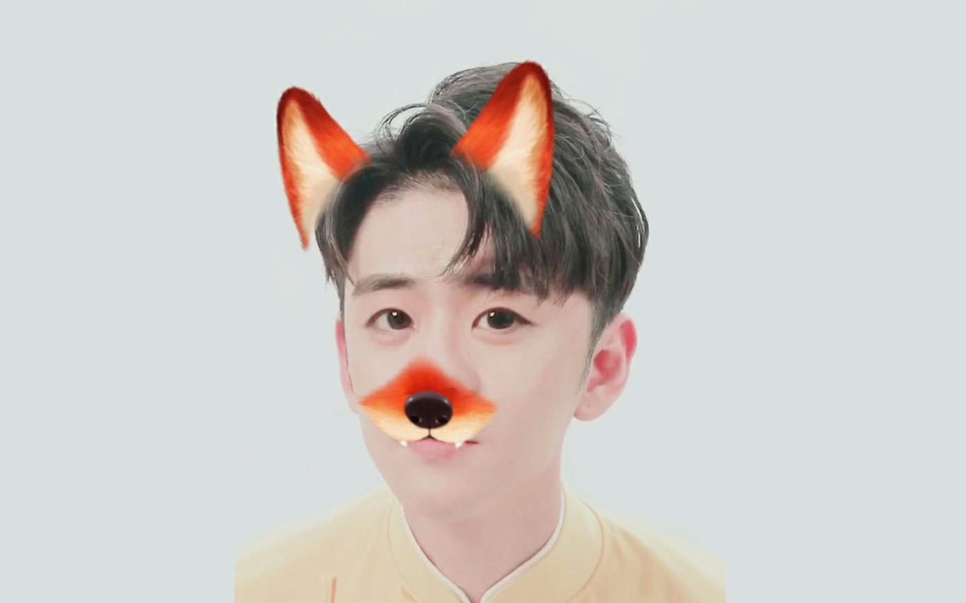 【九辫儿】张云雷 小狐狸