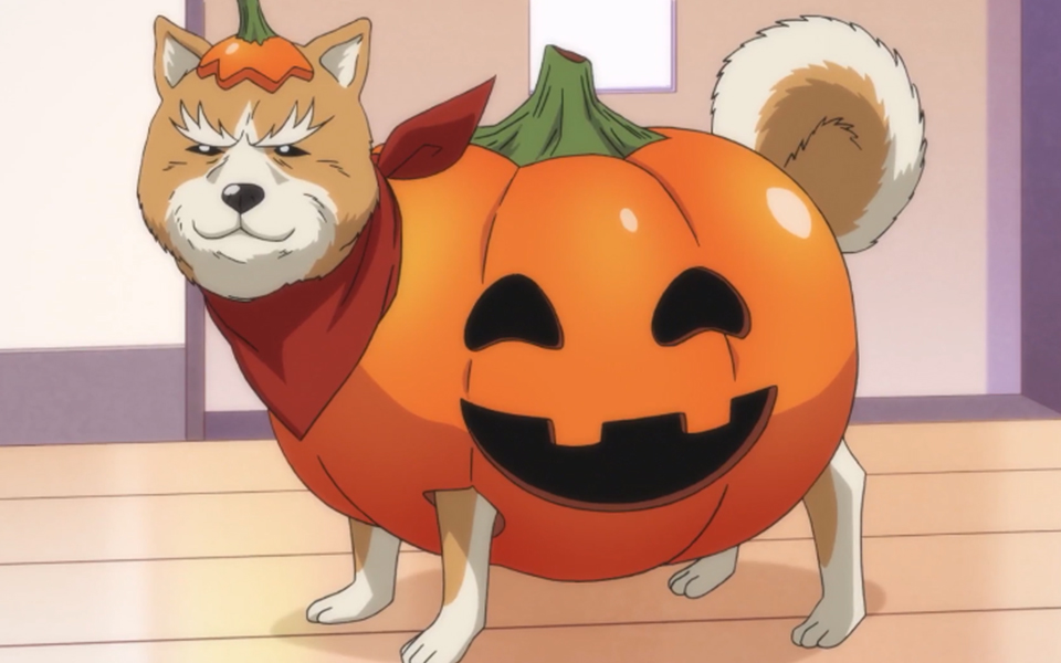 织田肉桂信长第4话雨声是战斗的旋律起始总是雨