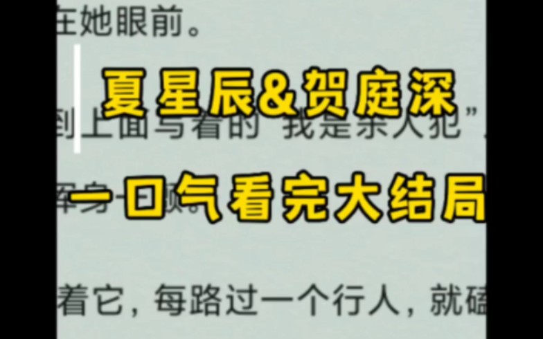 《夏星辰贺庭深》一口气看完大结局!夏星辰贺庭深哔哩哔哩bilibili