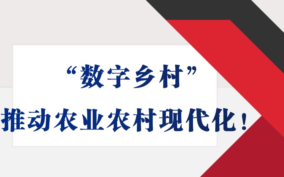 【申论通讯社】《人民日报》“锐评”——数字乡村建设哔哩哔哩bilibili