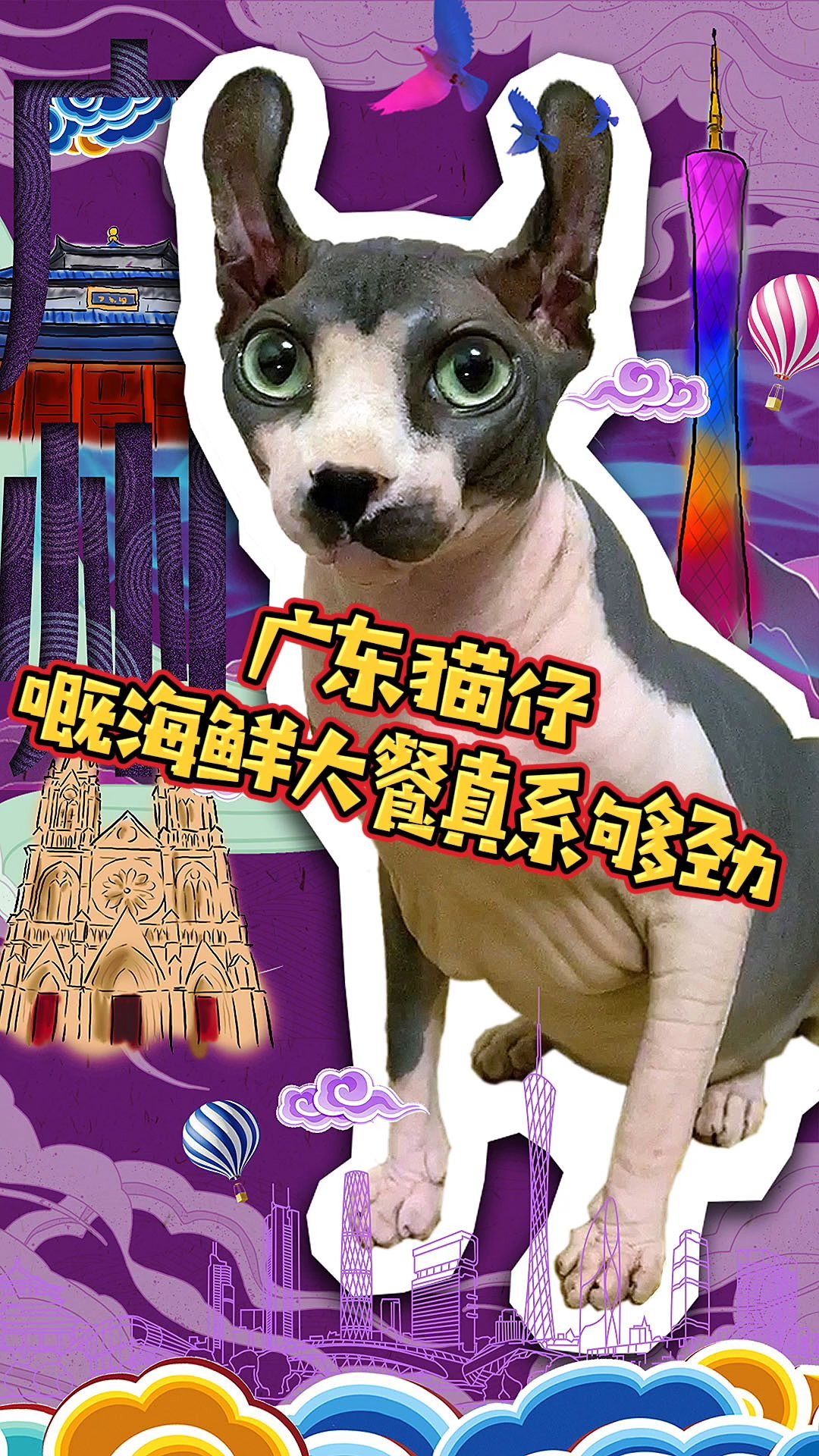 广东的猫咪吃啥?梗系海鲜大餐才够劲!哔哩哔哩bilibili