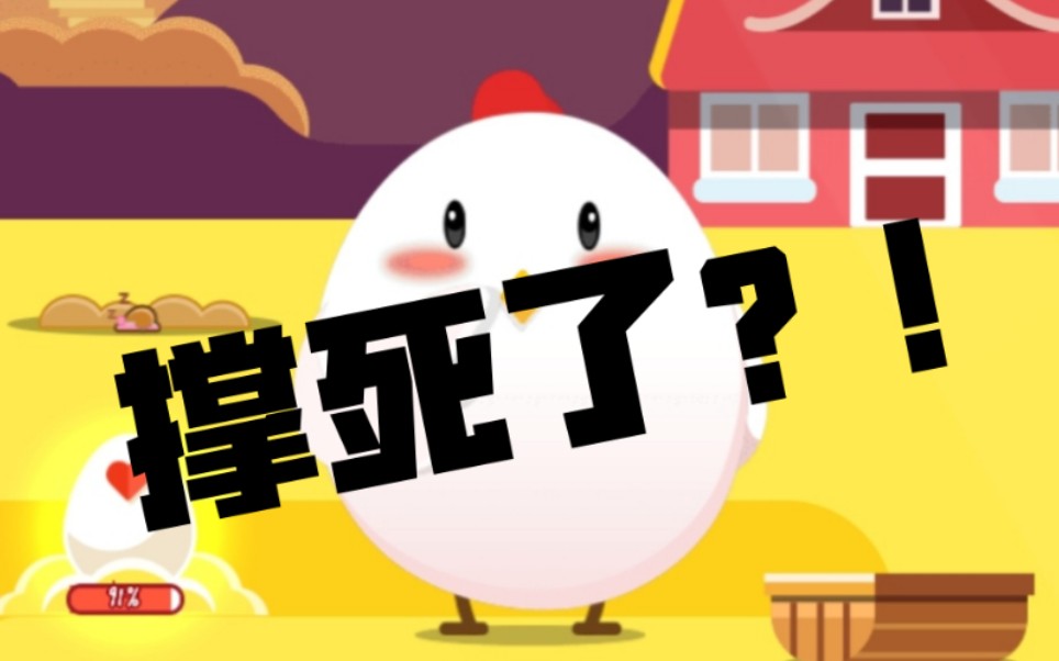 我zfb的小鸡撑死了在朋友家中吃一年会怎样